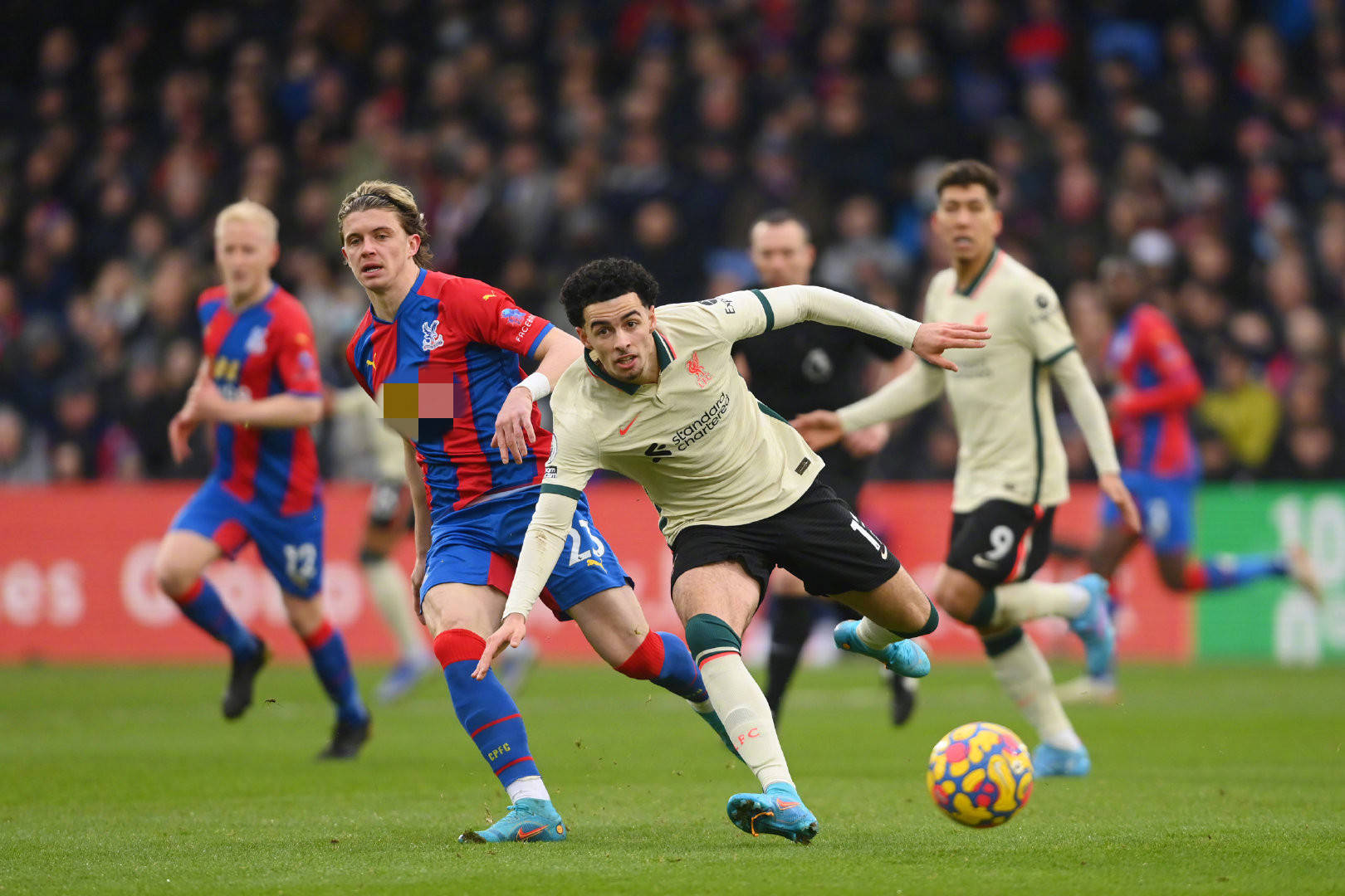 极的比赛风 极的比赛风